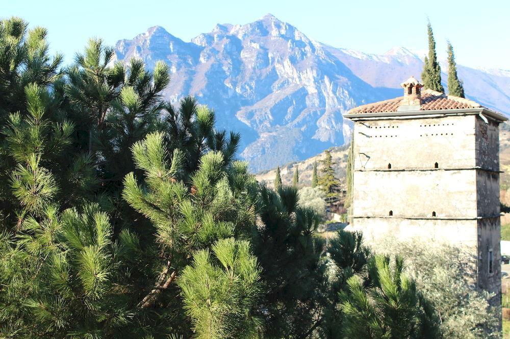 Hotel Toresela Bike Am Gardasee Torbole Sul Garda Extérieur photo